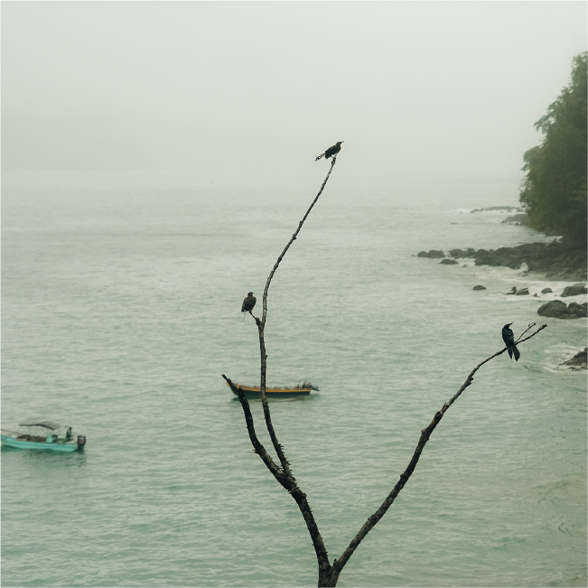 RV - Apnea y Nuquí 8