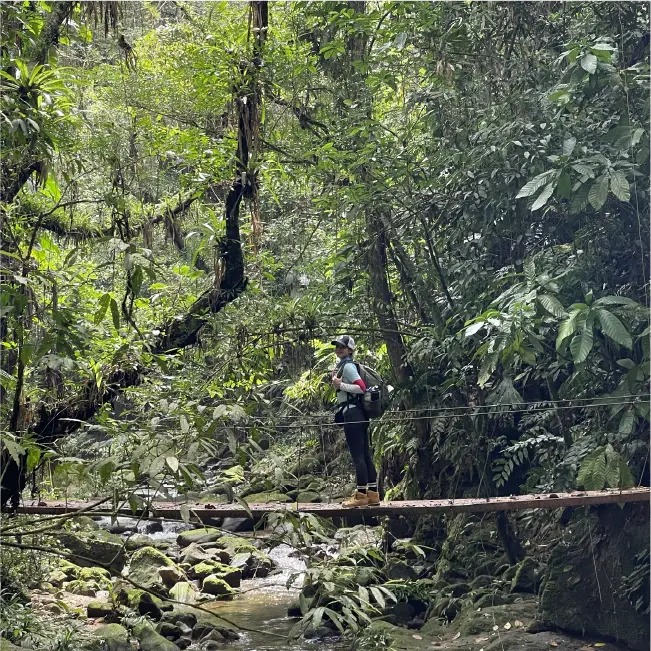 RV - Ciudad Perdida 1