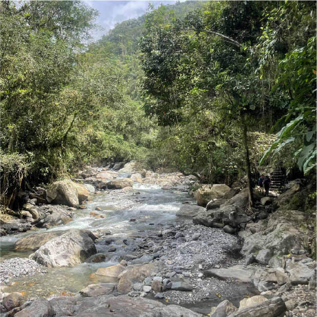 RV - Ciudad Perdida 3