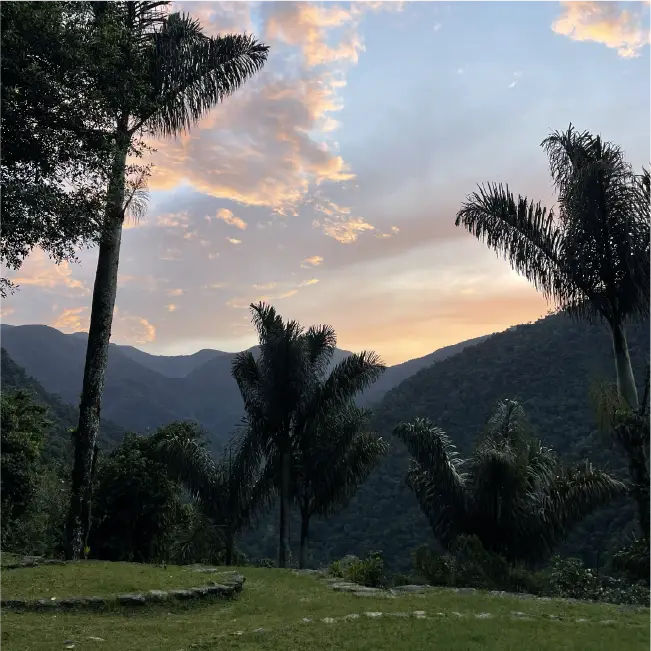 RV - Ciudad Perdida 5