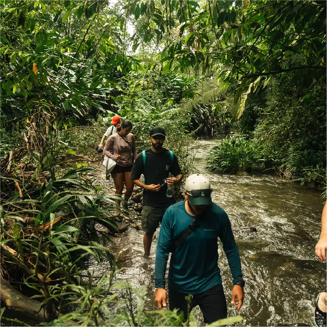 RV - Pacifico magico 5